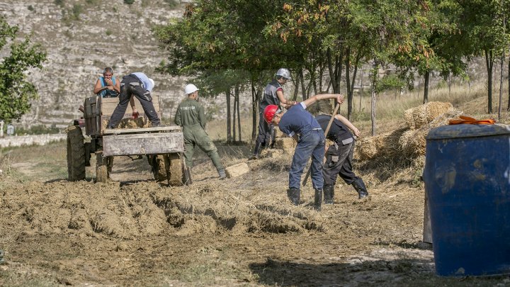 Cu dragoste pentru arhitectura tradițională! 20 de tineri din țară au învățat cum se construiesc casele moldovenești (FOTOREPORT)