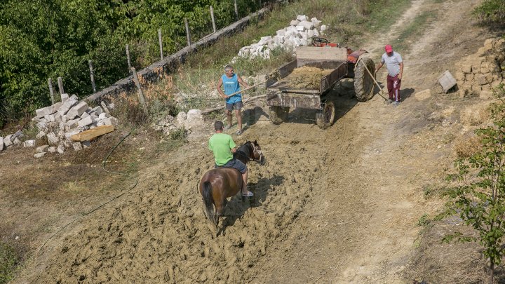 Cu dragoste pentru arhitectura tradițională! 20 de tineri din țară au învățat cum se construiesc casele moldovenești (FOTOREPORT)