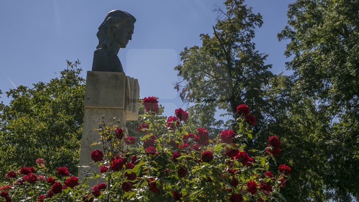 zona popasurilor turistice din satul Iurceni 