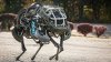 Parlamentul European interzice dezvoltarea și utilizarea "roboţilor ucigaşi" pe câmpul de luptă. Care este cauza