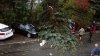 O femeie a murit, iar un copil este în stare gravă în urma unei furtuni violente în Germania