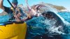 Moment inedit: O focă aruncă cu o caracatiță într-un bărbat (VIDEO)