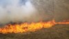 Incendiile de pădure fac prăpăd în nordul Germaniei. De mai bine de 14 zile pompierii luptă cu flăcările