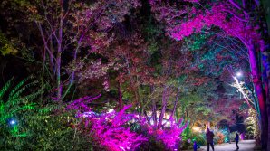 Oameni FĂRĂ SCRUPULE. Aleea Colorată din parcul Valea Trandafirilor a fost VANDALIZATĂ