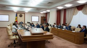 Subvenții în avans: 38 de cereri, 19 milioane de lei pentru tineri și femei care inițiază  afaceri în agricultură