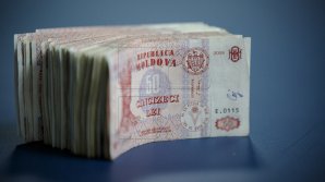 Ajutor pentru tinerii agricultori. AIPA a demarat a doua etapă de recepţionare a cererilor de subvenţionare în avans