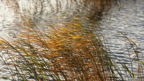 Vremea se schimbă brusc! Meteorologii au emis Cod Galben de VÂNT PUTERNIC