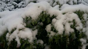 METEO 27 decembrie 2019: În ţară vor cădea ninsori slabe