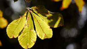 METEO 20 septembrie 2018: Cer variabil, iar precipitații nu se prevăd. Câte grade vor indica termometrele