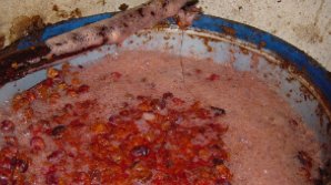 ATENŢIE LA PERICOLUL DIN BECI. Dioxidul emanat în procesul fermentării poate fi fatal