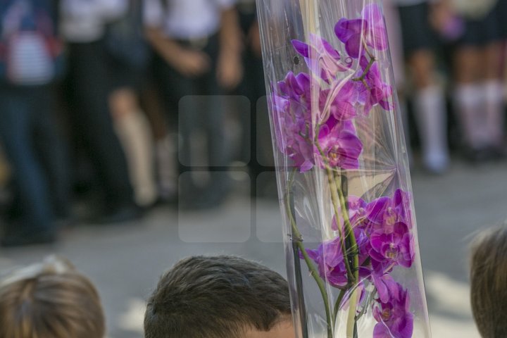 Aglomerație la piața angro de flori din Capitală. Părinţii şi copiii au cumpărat buchete pentru festivitatea de la prima zi de școală (FOTOREPORT)