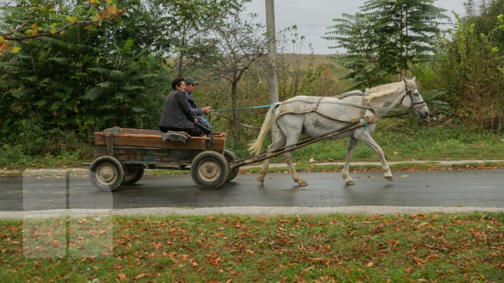 DRUMURI BUNE LA CIOROPCANI: În localitate au fost reabilitate două tronsoane de drum (FOTOREPORT)