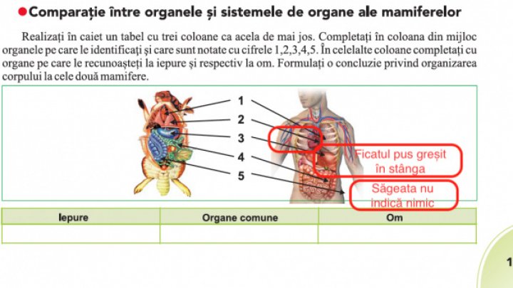 Greșeli GRAVE într-un manual de biologie din România. Inima şi ficatul sunt puse greșit