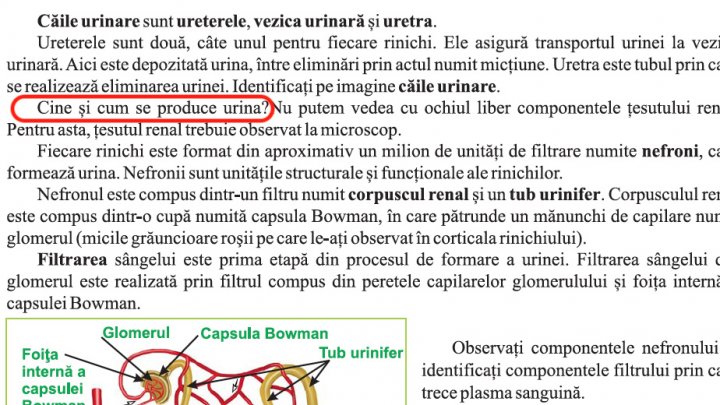 Greșeli GRAVE într-un manual de biologie din România. Inima şi ficatul sunt puse greșit