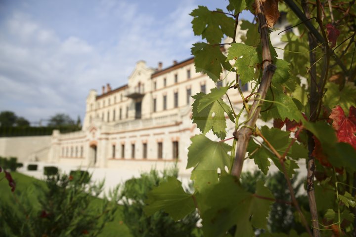 Conferinţă importantă despre turismul vitivinicol în Moldova. Invitaţi din 60 de ţări, prezenţi la Castelul Mimi (FOTOREPORT)