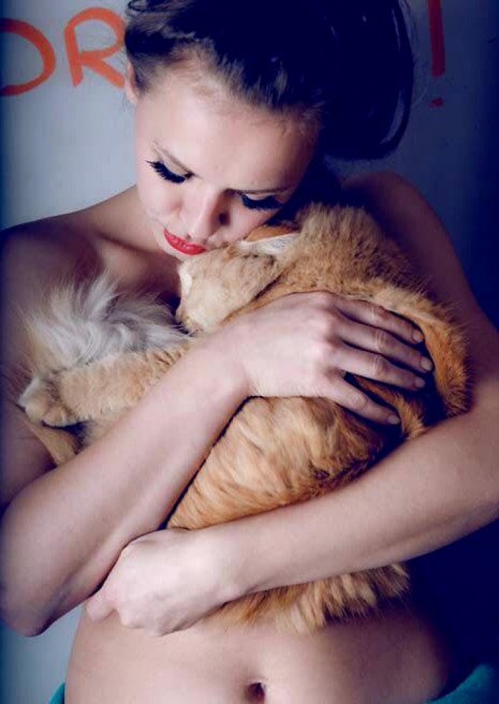 O pisică vedetă pe Instagram care fusese răpită din grădina casei sale a fost găsită (FOTO)