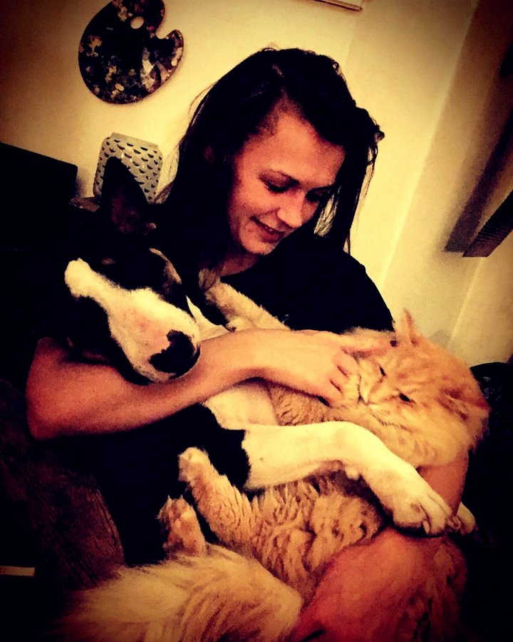 O pisică vedetă pe Instagram care fusese răpită din grădina casei sale a fost găsită (FOTO)