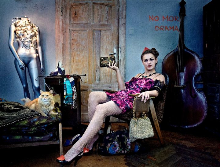 O pisică vedetă pe Instagram care fusese răpită din grădina casei sale a fost găsită (FOTO)