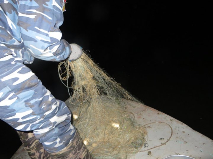 Zece braconieri, prinşi pescuind în râul Nistru. Inspectorii au aplicat amenzi de 3.000 de lei