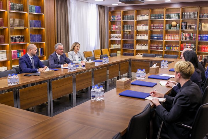 Președintele PDM Vlad Plahotniuc și ambasadorul SUA James Pettit s-au întâlnit într-o vizită de rămas bun