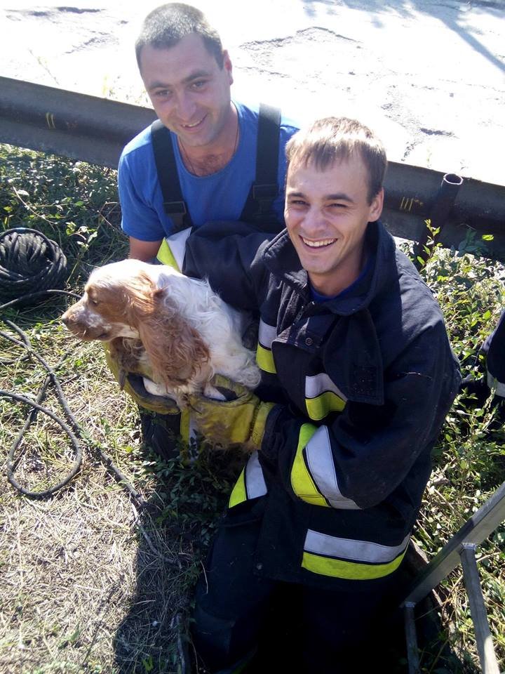 MISIUNE NEOBIŞNUITĂ a salvatorilor din Botanica. Au salvat un câine căzut într-o canalizare (FOTO)