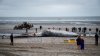 O balenă a eşuat pe plaja Den Haan din Belgia