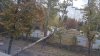 VÂNTUL PUTERNIC face ravagii în Capitală. În ograda liceului Dimitrie Cantemir a căzut un copac şi un stâlp (FOTO)