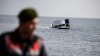 Doi morţi după ce o ambarcaţiune cu migranţi s-a scufundat în apropiere de Bodrum