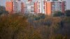 Îşi legalizează activitatea: Tot mai mulţi moldoveni care oferă locuinţe în chirie îşi declară veniturile
