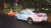 MOTIVUL SURPRINZĂTOR pentru care singura Dacie 1300 din New York a fost oprită de poliţie
