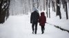 Iarna se grăbeşte să vină în România. Noaptea trecută a nins viscolit în județul Harghita