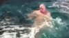 Curaj extrem: Un bărbat s-a dezbrăcat complet și a sărit într-un acvariu cu rechini (VIDEO 18+)