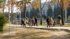 Vreme neobişnuit de caldă: Oamenii au ieșit în parcuri pentru a se bucura de temperaturile generoase