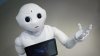 Robotul Pepper, invitat să vorbească despre inteligența artificială în faţa parlamentarilor britanici