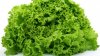 Salata verde a fost interzisă în farfuriile americanilor din cauza unei bacterii