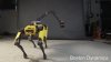 Nu vezi asta în fiecare zi: Primul robot cu patru picioare care dansează mai bine decât unii oameni (VIDEO)