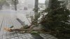 Japonia: Cel puţin doi morţi şi peste 130 de oameni răniţi în urma taifunului Trami