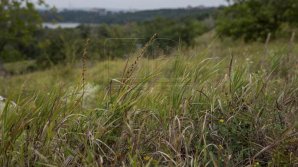 Meteorologii au emis o nouă avertizare de COD GALBEN DE VÂNT 