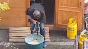 SCANDALOS! Un agent economic, SANCŢIONAT CU O SUMĂ RECORD pentru că făcea PLĂCINTE CU BORMAŞINA (VIDEO)