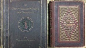 Două cărți din secolul al XIX-lea, depistate într-un microbuz de pasageri și colete
