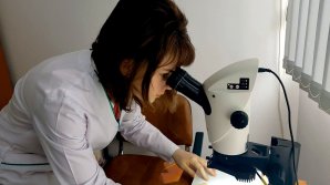 Studiul unei eleve olimpice din Brăila: Telefonul mobil afectează sănătatea