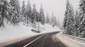 IARNĂ ÎN APRILIE. A nins abundent în Italia, Franţa, Elveţia şi Suedia