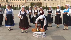 COMORILE SUDULUI. Tradiţiile din satul Văleni au fost prezentate la o vinărie