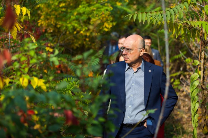 Filip, despre reabilitarea Cimitirului evreiesc din Chișinău: Aici ar putea fi un centru cultural istoric evreiesc, un fel de Yad Vashem