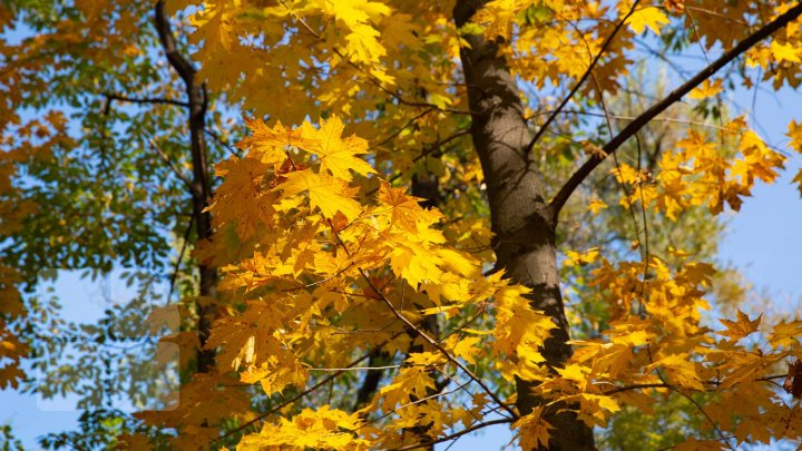 Soare şi cer senin. Meteorologii prognozează vreme frumoasă pentru următoarele zile  