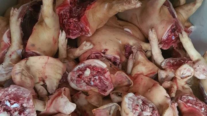 Carne ţinută în condiţii antisanitare. Bărbaţii riscă amenzi usturătoare (FOTO)