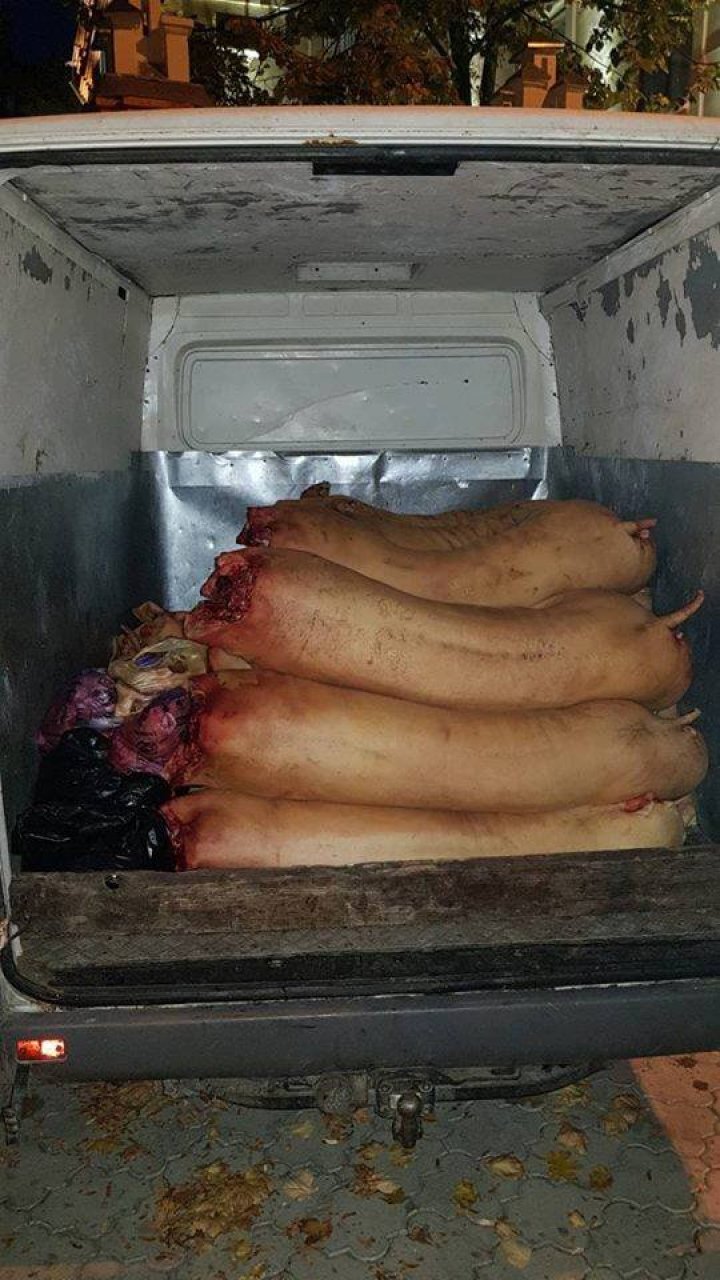 Carne ţinută în condiţii antisanitare. Bărbaţii riscă amenzi usturătoare (FOTO)