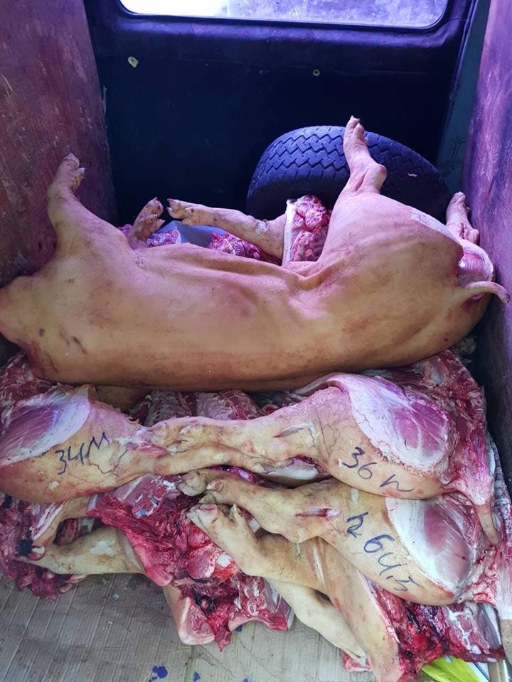 Carne ţinută în condiţii antisanitare. Bărbaţii riscă amenzi usturătoare (FOTO)