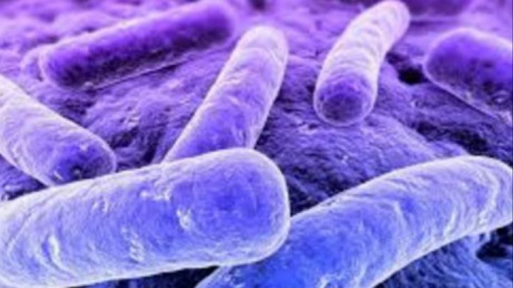 Bine de știut! Simptomele infecţiei cu bacteria E.coli