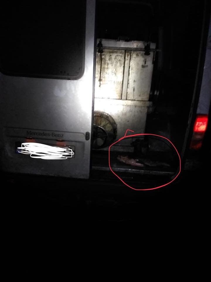 Îţi piere pofta de mâncare! Sute de kg de carne, transportată în CONDIŢII INSALUBRE, urma să ajungă pe mesele noastre (FOTO)